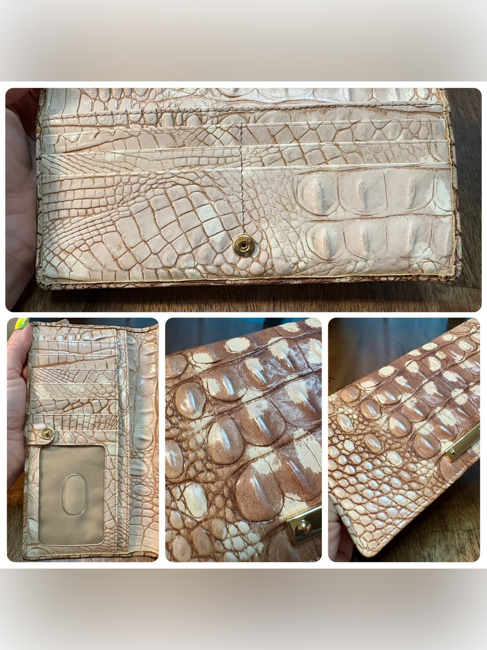 Brahmin EUC Ady - Doe Ombré - VERY HTF, Rare - Satin Finish & Feel - Like New - Picture 8 of 16